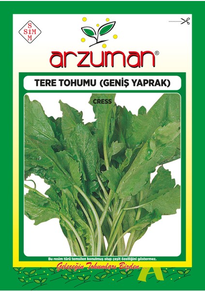Helen Tere Tohumu 25 Gram