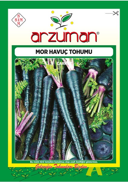 Mor Havuç Tohumu 10 Gram