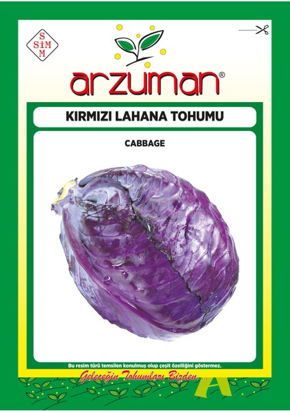 Kırmızı (Mor) Lahana Tohumu 10 Gram