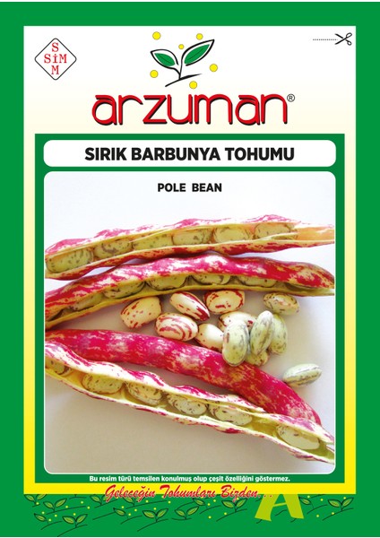 Sırık Barbunya Tohumu 50 Gram