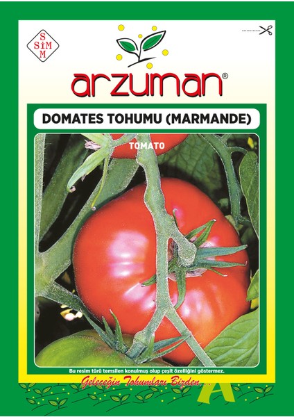 Marmande Domates Tohumu 500 Adet