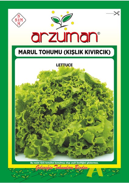 Kışlık Kıvırcık Marul Tohumu 10 Gram