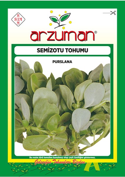 Yeşim Semizotu Tohumu 10 Gram
