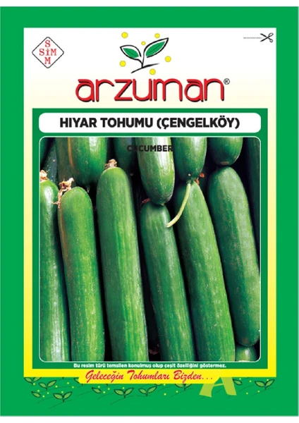 Salatalık Tohumu (10 Gr) Çengelköy