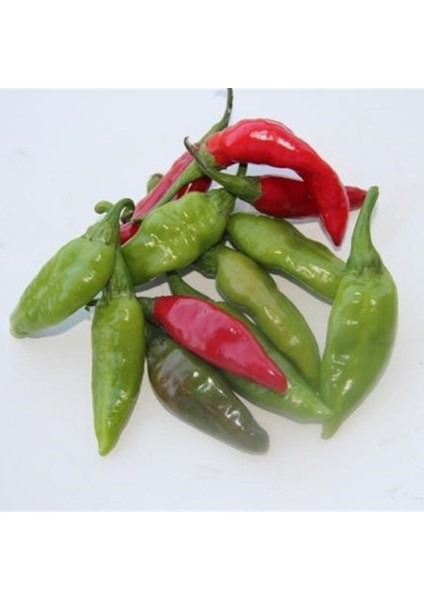 Murat Tohum Süper Paket Balık Biber Tohumu Acı Balık Biber Tohumu 220 Adet Tohum fiyatları