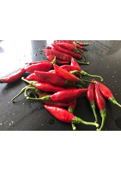 Murat Tohum Süper Paket Balık Biber Tohumu Acı Balık Biber Tohumu 220 Adet Tohum modelleri