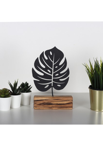 Monstera