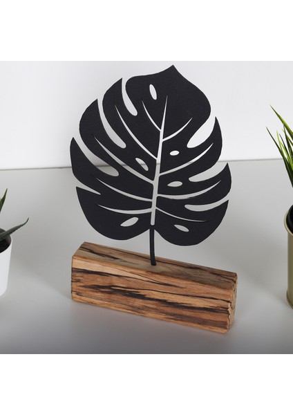 Monstera fiyatları