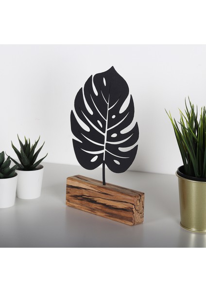 Monstera modelleri