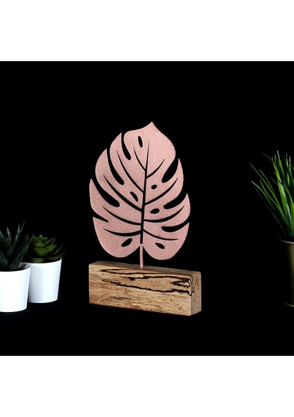 Monstera modelleri