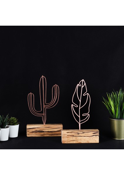 Cactus Feather Mini Set