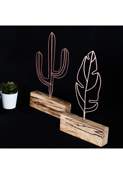 Cactus Feather Mini Set