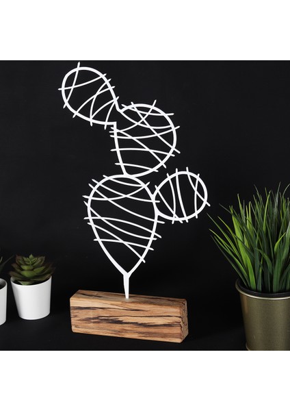 Cactus Round fiyatları