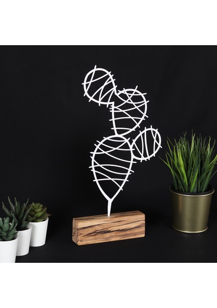 Cactus Round modelleri