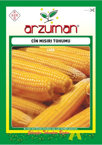 Cin Mısır Tohumu (25 Gr)