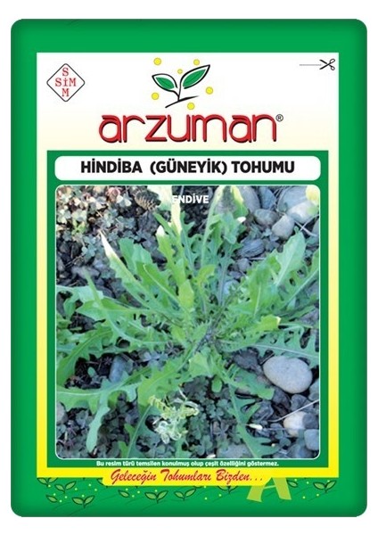 Hindiba/güneyik Tohumu (5 Gr)