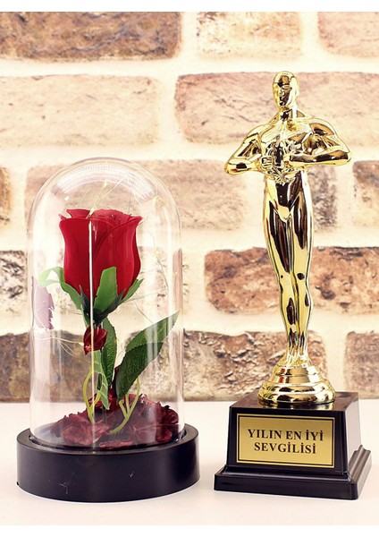 Yılın En Iyi Sevgilisi Oscar Ödülü ve LED Işıklı Fanus Gül Seti