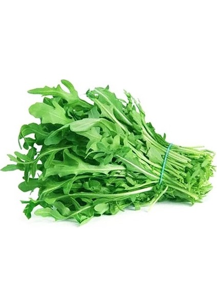 Murat Tohumculuk Murat Tohum Süper Paket Bahçe Teresi Tohumu ( Garden Cress) 800 Adet Tohum