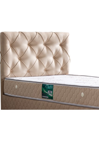 Vita Çift Kişilik Baza Başlık Comfort Yatak Seti - Bej