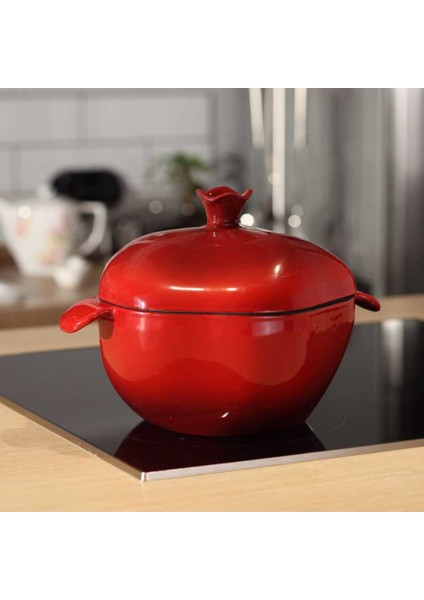 Casterra Nar Tencere 22 cm 3.0 Lt