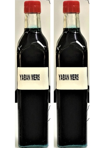Saruhanlı Birlik Yabanmersini Özü 1 E 3 Konsantre 720 gr 2 Li Set 2*720