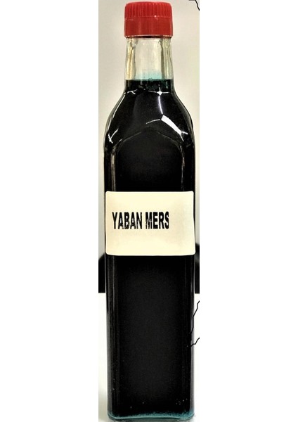 Saruhanlı Birlik Yabanmersini Özü 1 E 3 Konsantre 720 gr