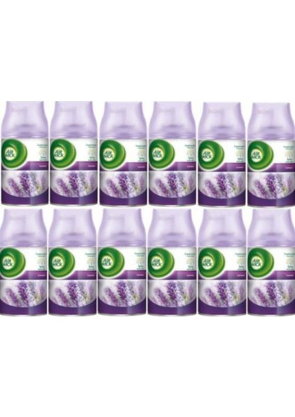 Air Wick Oda Kokusu Freshmatic  Lavanta 12 x 269 ml