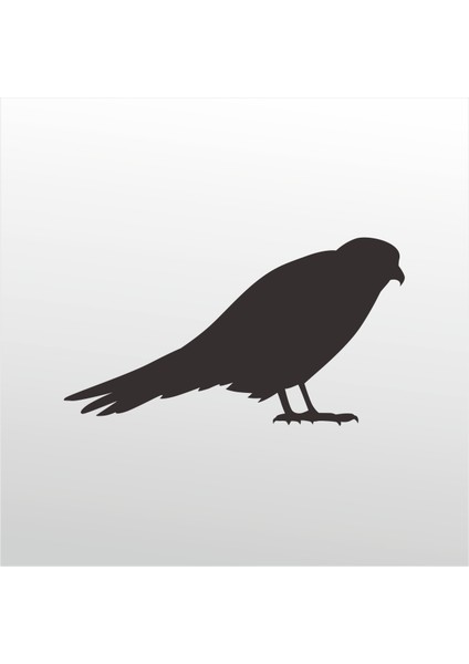 Folyo Sticker Arı Kuşu 101