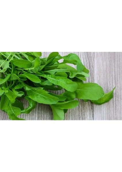 Roka Tohumu fiyatları