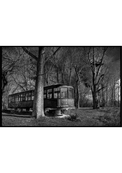 Terk Edilmiş Tren Vagonu Kanvas Tablo