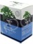 Moringa Çayı 30’lu 1