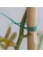 Bambu 10'lu Bitki Destek Çubuğu 90CM+30 mt Bitki Bağlama Ipi 4