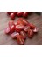 Saksılık Zeytin Domates Tohumu 10 Çeri Domates Tohumu 1