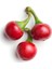 Cherry Kiraz Biber Tohumu Biber Tohumu 50 Adet Tohum 1
