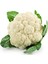 Karnabahar Tohumu Igloo 0,35 G (~ 60 Tohum) 1
