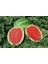 Karpuz Tohumu Crimson Sweet - 25G (~ 175 Tohum ) 1