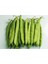 Fasulye Tohumu Özlem ( Sırık ) - 50 G 1