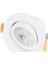 CT-5200 6W/6400K Lal LED Spot Siyah Kasa 1