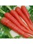 Kırmızı Havuç Sebze Tohumu 20 'li Saksı Torf 2