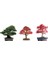 Ithal 3 Farklı Bonzai Ağacı Tohumu Ekim Seti Selvi Çınar Acer Rubrum Bonsai Ağacı Tohumu Saksı Toprak Kombin 1