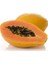 5 Adet Tohum Ithal Nadir Tropikal Bodur Papaya Ağacı Tohumu Papaya Meyvesi Tohumu Yeni Sezon 1