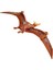 Sesli Dinozorlar - Pteranodon 2
