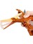 Sesli Dinozorlar - Pteranodon 3