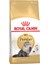 Persian Yetişkin Kedi Maması 2 kg 1
