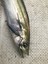 Metal Adict 02 72 mm 30 gr Jig Yem 3