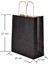 Burgu Saplı Siyah Kağıt Çanta 25X12X31 cm - 25'li 2