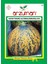 Kırkağaç 637/ALTINBAŞ Kavun Tohumu (10 gr ) 1