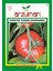 Marmande Domates Tohumu 500 Adet 1