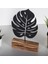 Monstera 2