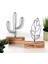 Cactus Feather Mini Set 2